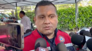 Lluvias en Cuernavaca provocan caída de árboles en tres colonias; no hay personas lesionadas