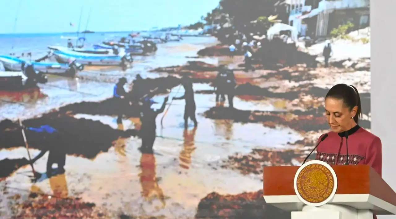 Fonatur presenta estrategia para combatir el sargazo ante llegada estimada de 119 mil toneladas en Quintana Roo