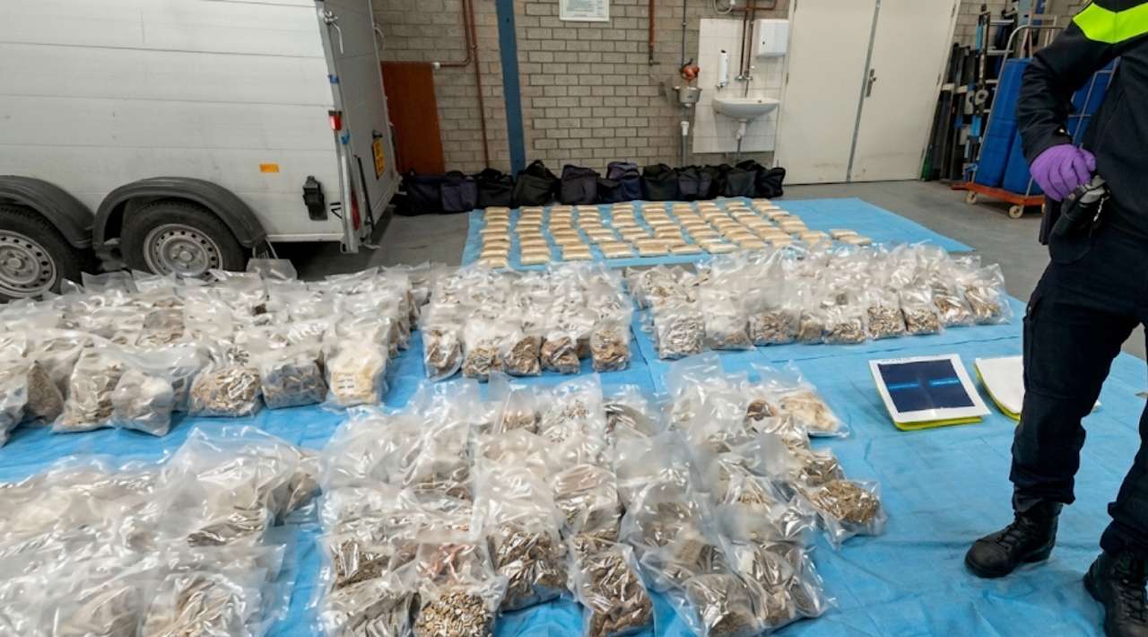 España y Países Bajos decomisan el mayor cargamento de MDMA en Europa