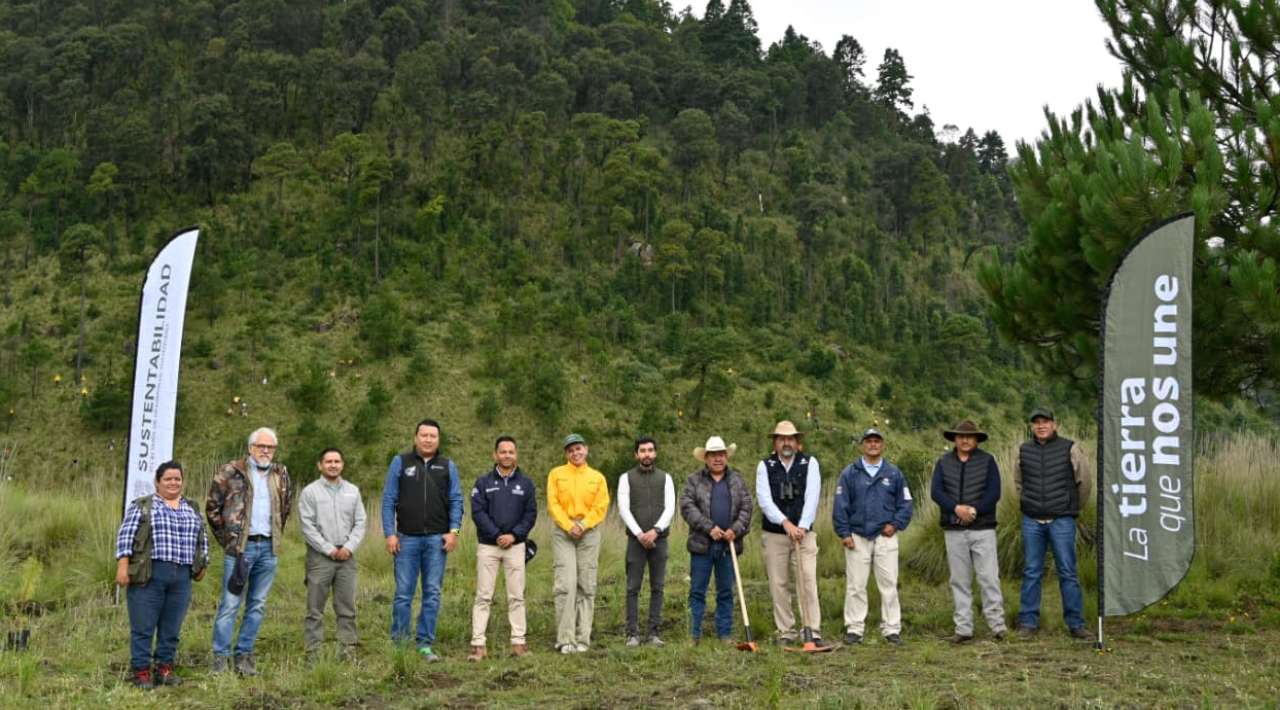 Gobierno de Morelos planta 2,000 árboles en Huitzilac para proteger el Bosque de Agua