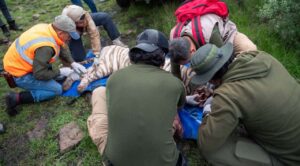 Capturan tigre de bengala que escapó en Tepetlaoxtoc; será trasladado a Zacango