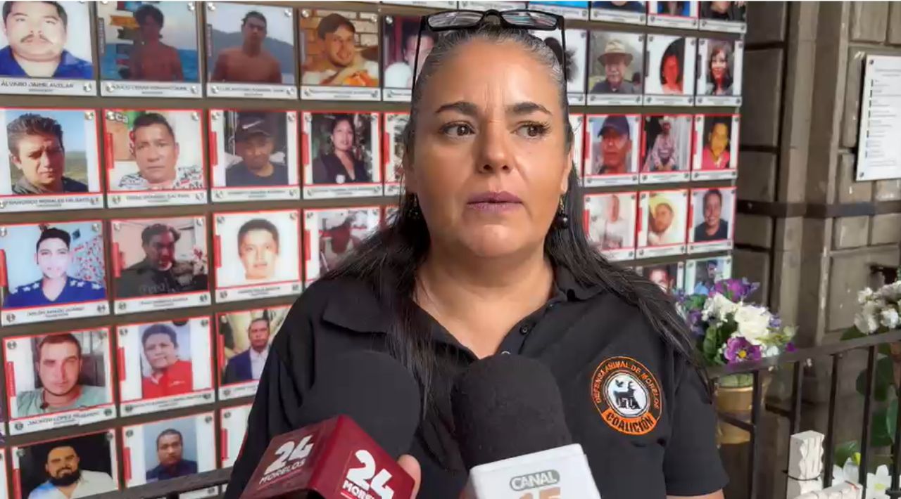 Convocan colectivos de Morelos a marchar en CDMX contra la nueva Ley General de Bienestar y Protección Animal
