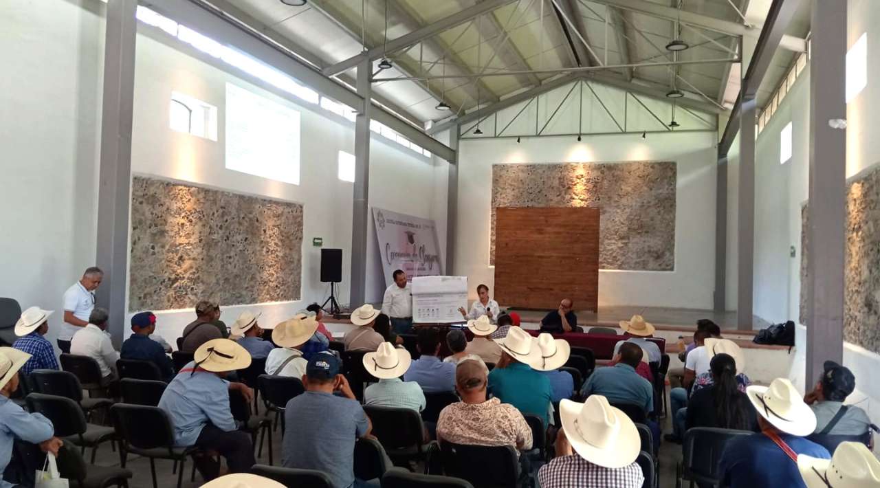 Brinda Gobierno de Morelos seguro multirriesgo gratuito para proteger el patrimonio de las y los productores agropecuarios