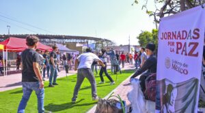 Atención a las causas de la violencia requiere mayor participación de municipios: Rosa Icela