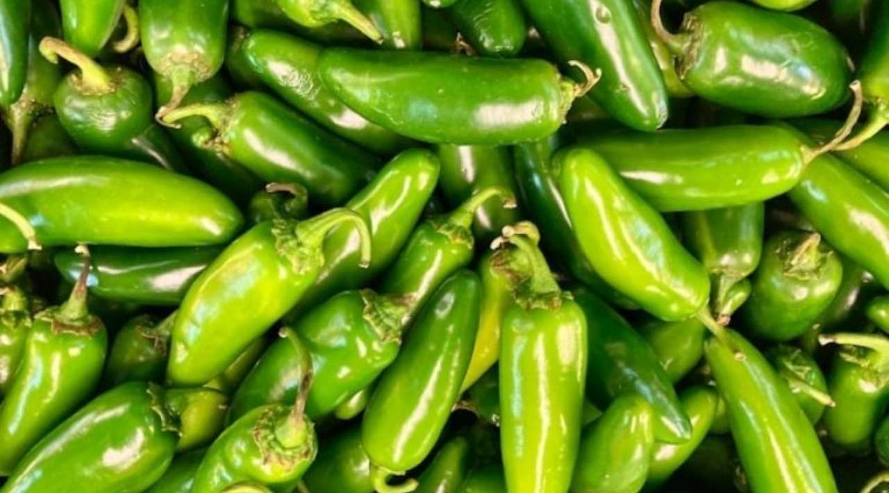 Alerta en EU por brote de salmonela ligado a jalapeños mexicanos; suman 345 casos