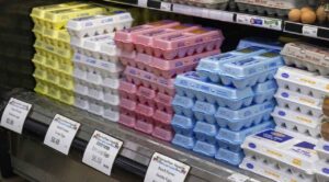 Retiran más de 38 millones de huevos en Estados Unidos por posible contaminación con Salmonella