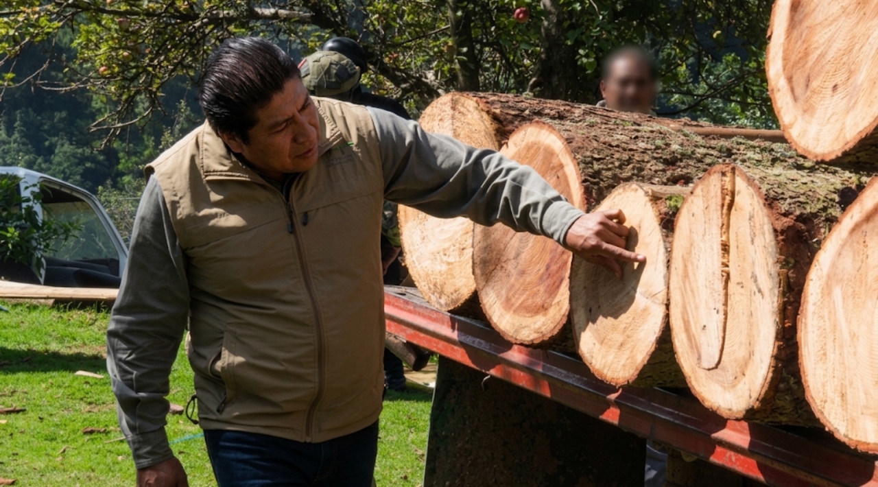 Profepa asegura más de 3 mil metros cúbicos de madera en operativo contra tala ilegal en 26 Estados