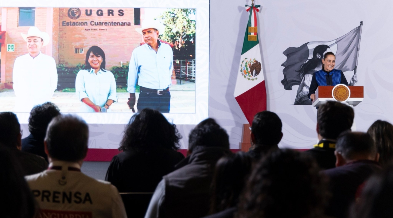 Reabre frontera con EU para ganado mexicano; reforzarán combate al gusano barrenador