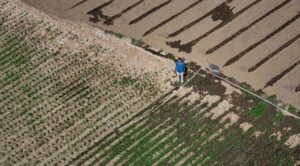 Sequía por El Niño en El Salvador arruina cultivos y afecta al ganado