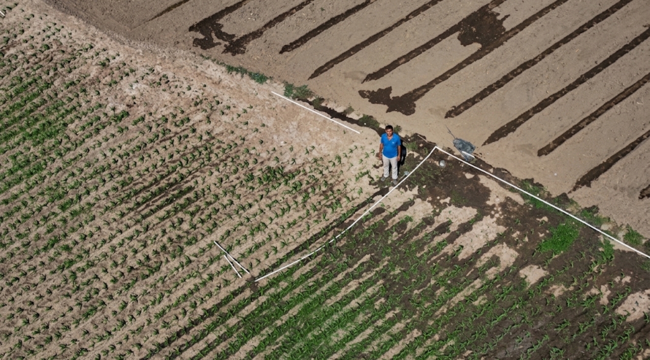 Sequía por El Niño en El Salvador arruina cultivos y afecta al ganado