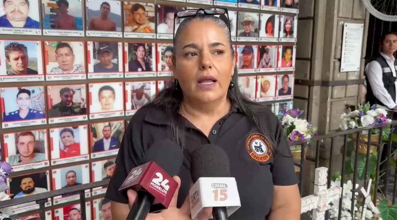 Justicia federal obliga a Tepoztlán a responder por protección animal