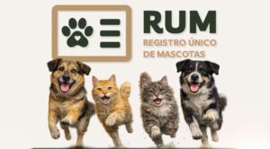 Realizará el Gobierno de Morelos jornada gratuita de esterilización para perros y gatos en Lomas de Ahuatlán
