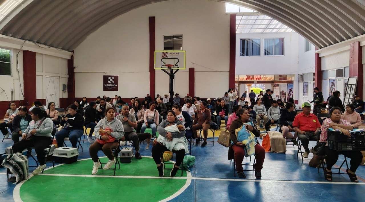Superan meta de esterilizaciones gratuitas de mascotas en Morelos: suman 5 mil 212 en 2026