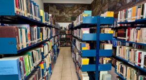 Compra masiva de libros para bibliotecas: Cultura destinará 50 mdp a la Red Nacional