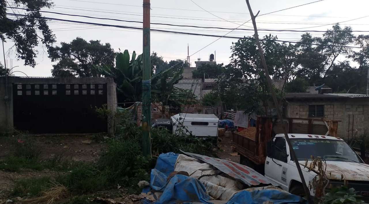 Piden intervención por presunto maltrato de perros y gallos en Cuernavaca; perrito murió por gusano barrenador
