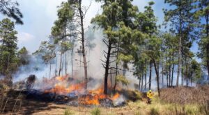 Aumentan riesgos de incendios en Morelos por falta de lluvias