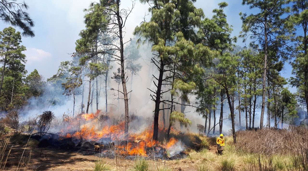 Aumentan riesgos de incendios en Morelos por falta de lluvias
