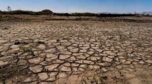 México prepara Plan Nacional de Adaptación al cambio climático ante pérdida de costas