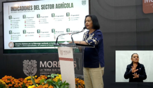 Morelos destaca con 27 productos agrícolas entre los 10 primeros del país