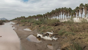 Sheinbaum anuncia apoyos para viviendas afectadas por la tormenta Rachel