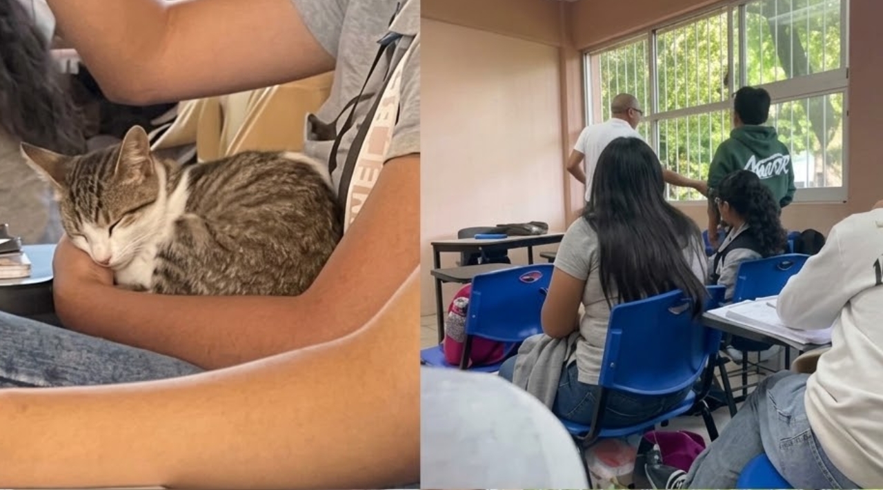 Fiscalía Ambiental de Cuernavaca presenta denuncia por presunto caso de maltrato animal en la Escuela de Técnicos Laboristas de la UAEM.
