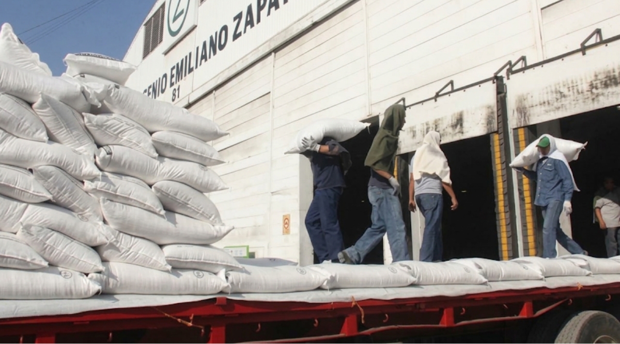 Precio de la caña sube a mil 125.60 pesos por tonelada en Zacatepec