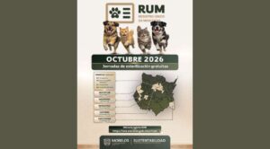 Morelos realizará esterilizaciones gratuitas durante octubre