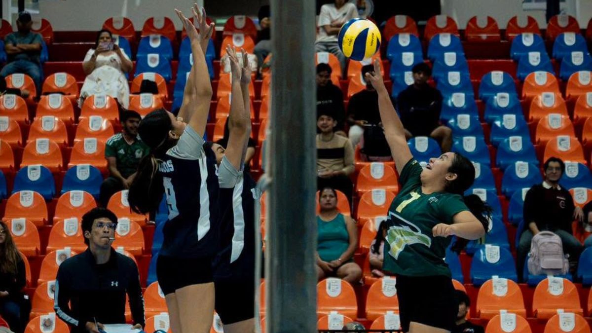 Los representativos universitarios intensifican su preparación con la mira puesta en sus próximos retos deportivos.